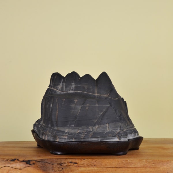 Montaña Suiseki 'Palombino'