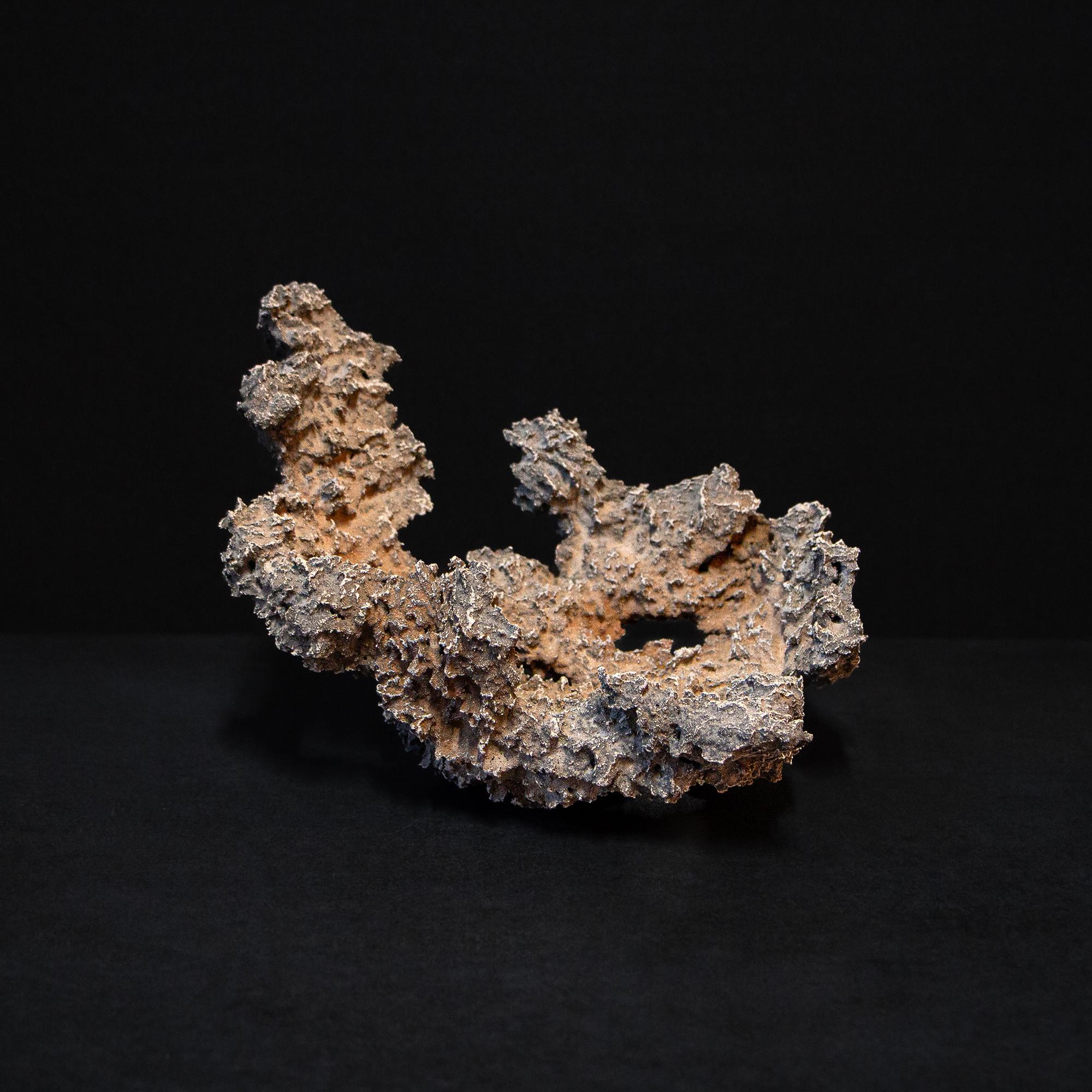 Bonsai mondschale - Etsy.de