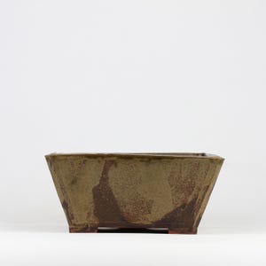 Puede incluir: Una maceta cuadrada de bonsái de cerámica verde oliva con una superficie texturizada y una base marrón rojizo. La maceta tiene forma trapezoidal, más ancha en la parte superior y se estrecha hacia la base. Ideal para plantas pequeñas.