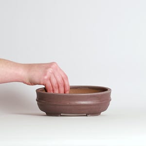 May include: A brown ceramic bonsai pot with a rounded oval shape. The pot has a textured surface and is supported by three small feet. A hand is reaching into the pot.