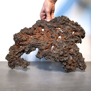 May include: A large, irregularly shaped piece of dark brown and reddish-brown lava rock. The rock has a rough, textured surface with many holes and crevices.