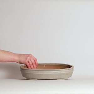 Puede incluir: Una maceta para bonsái ovalada de color gris claro con un borde elevado y una base plana. El interior es de un color beige contrastante. Una mano se introduce en la maceta. La maceta está diseñada para cultivar bonsáis.