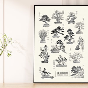 Impresión 'ESTILOS BONSAI' Tamaño A2 Papel Betulla Woodstock Reciclado