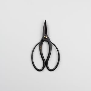 Può includere: Forbici da giardinaggio nere con una vite di perno color oro. I manici formano due grandi anelli per una facile presa. Le lame sono appuntite e affilate. Le forbici sono progettate per la potatura di piante e fiori.