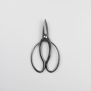 Op de afbeelding: Een zilverkleurige schaar met een puntige punt en lusvormige handgrepen. De schaar is ontworpen voor precisiesnijden en wordt waarschijnlijk gebruikt voor knutselen of tuinieren. De afbeelding is tegen een effen witte achtergrond.