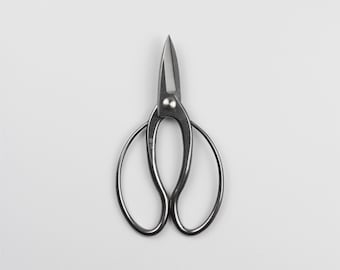 May include: A pair of silver-colored scissors with a pointed tip and looped handles. The scissors are designed for precision cutting and are likely used for crafting or gardening. The image is shot against a plain white background.