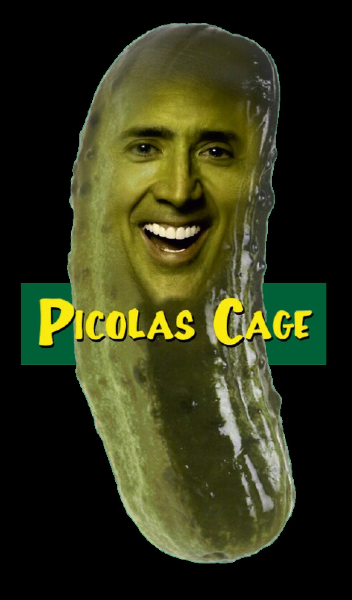 2x Picolas Cage Fridge Etsy
