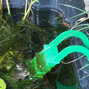 May include: A bright green plastic frog escape ramp positioned in a dark pond with murky water. Two small brown frogs are resting on the submerged portion of the ramp, which features curved supports that hook over the edge of the pond liner.