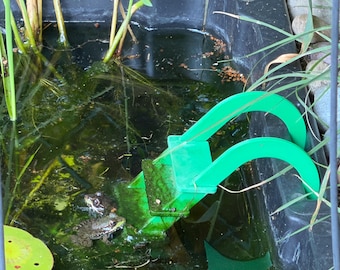 Frog Pond Ladder
