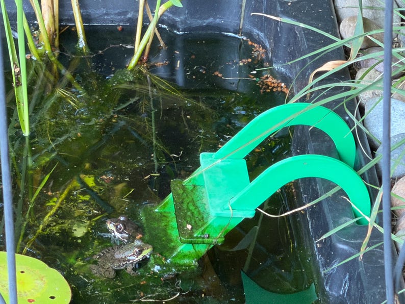 May include: A bright green plastic frog escape ramp positioned in a dark pond with murky water. Two small brown frogs are resting on the submerged portion of the ramp, which features curved supports that hook over the edge of the pond liner.