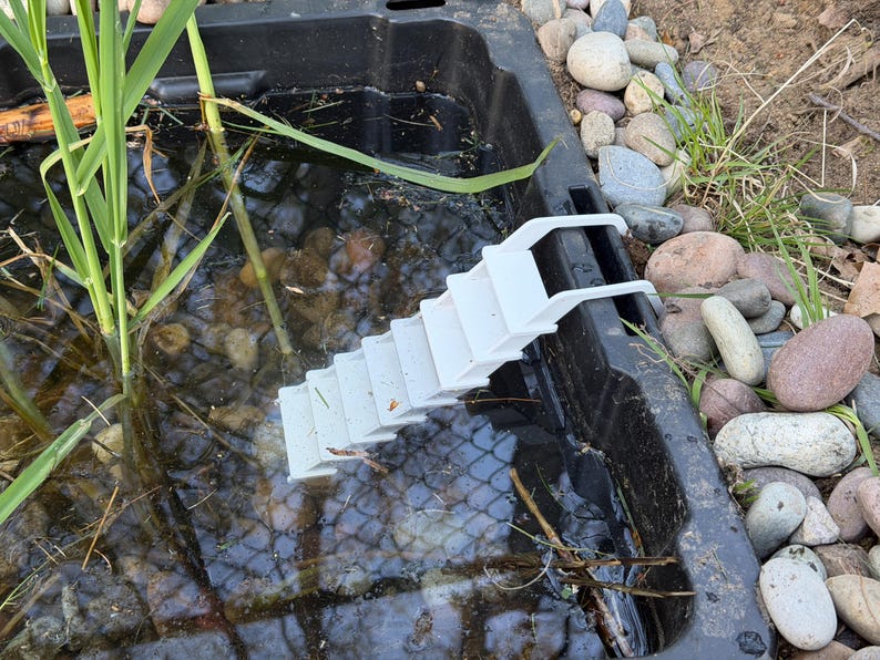 May include: A white plastic ramp with steps, designed for aquatic animals, is placed in a black pond. The pond contains water, pebbles, and aquatic plants. The scene is outdoors, with rocks and grass visible.