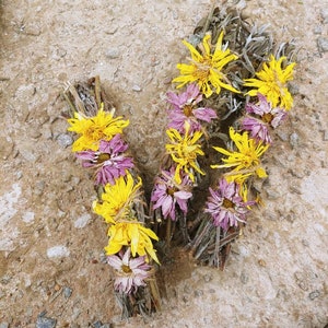 Smudge stick, sage smoke stick, herbal cleansing, Saining, UK.