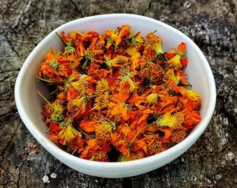 Sulphur Cosmos 》natural dye plant for shades of pumpkin orange, peach, and brown 》or use in home décor, potpourri, crafts, soap, and more