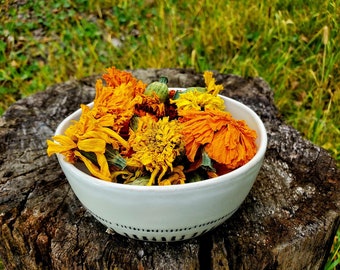 Marigold Mix 》natural dye plant for shades of yellow 》or use in fall décor, potpourri, crafts, soap, and more 》organic practices, non GMO