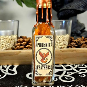Könnte beinhalten: Eine klare Glasflasche gefüllt mit orangefarbenen Federn, beschriftet mit "PHOENIX FEATHERS". Die Flasche hat einen schwarzen Verschluss, der mit tropfendem kupferfarbenem Wachs versiegelt ist. Das Etikett zeigt eine Phoenix-Illustration. Der Hintergrund umfasst Kerzen und Tannenzapfen.