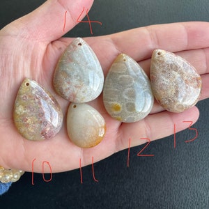 Puede incluir: Seis colgantes en forma de l&aacute;grima hechos de coral fosilizado. Los colgantes son de varios tonos de blanco, marr&oacute;n y rosa. Los colgantes tienen un agujero en la parte superior para encordar.