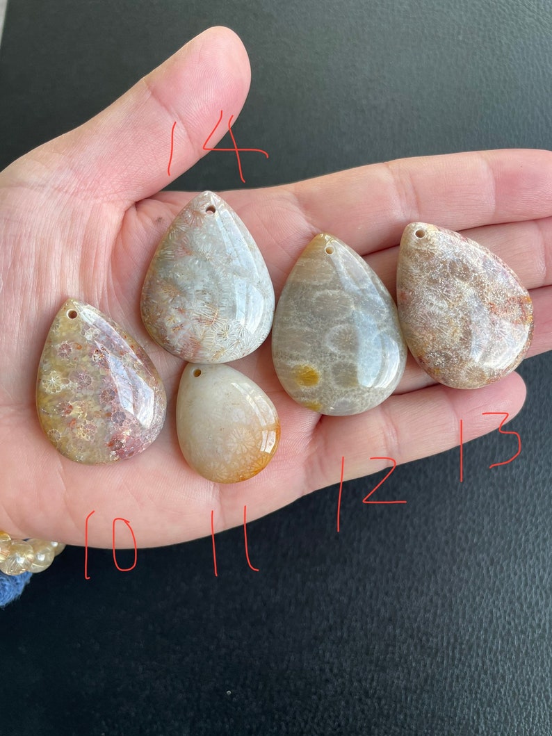 Puede incluir: Seis colgantes en forma de l&aacute;grima hechos de coral fosilizado. Los colgantes son de varios tonos de blanco, marr&oacute;n y rosa. Los colgantes tienen un agujero en la parte superior para encordar.