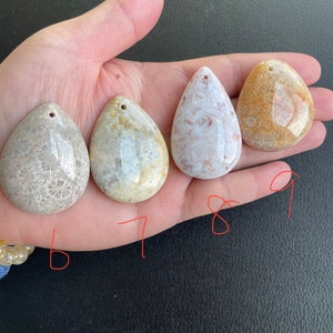 Puede incluir: Cuatro colgantes de coral fosilizado en varios tonos de marr&oacute;n, blanco y beige. Los colgantes tienen forma de l&aacute;grima y tienen un agujero perforado en la parte superior para colgar.