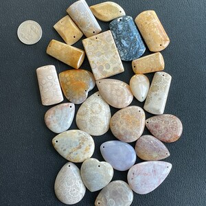 Puede incluir: Una colecci&oacute;n de 18 colgantes de coral fosilizado en varias formas y tama&ntilde;os. Los colgantes son una mezcla de marr&oacute;n claro, beige y blanco con una textura natural y org&aacute;nica. Algunos colgantes tienen un agujero perforado para colgar.