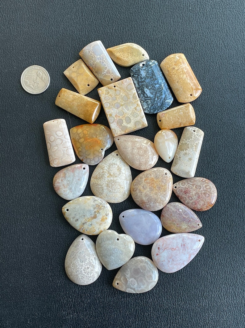 Puede incluir: Una colecci&oacute;n de 18 colgantes de coral fosilizado en varias formas y tama&ntilde;os. Los colgantes son una mezcla de marr&oacute;n claro, beige y blanco con una textura natural y org&aacute;nica. Algunos colgantes tienen un agujero perforado para colgar.