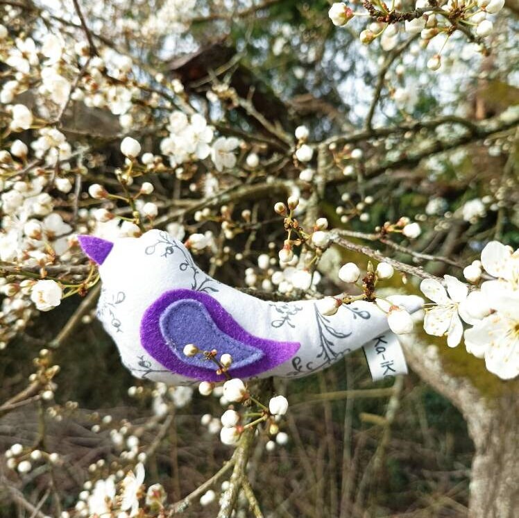 Jouet Pour Chat - Oiseau