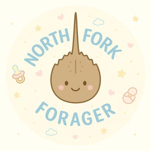 North Carolina - Baby Boy Girl Clothes Infant Bodysuit Funny Cute Newborn  Funny Cute Onesie® | North Fork Forager LLC