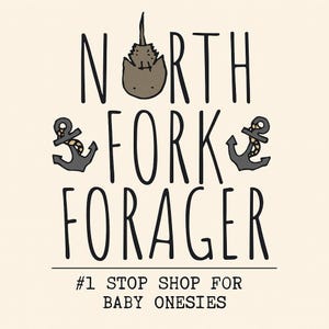 a logo for a company called "North Fork Forager". The logo features a cat sitting on top of an anchor, with the text "North Fork Forager" written below. The company's slogan, "Stop Shop For Baby Onesies", is also included in the image.