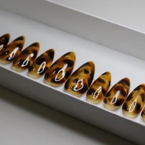 May include: Set of ten tortoiseshell-patterned false nails in a white box. The nails are long and pointed.