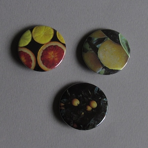 Set of 3 Citrus Buttons