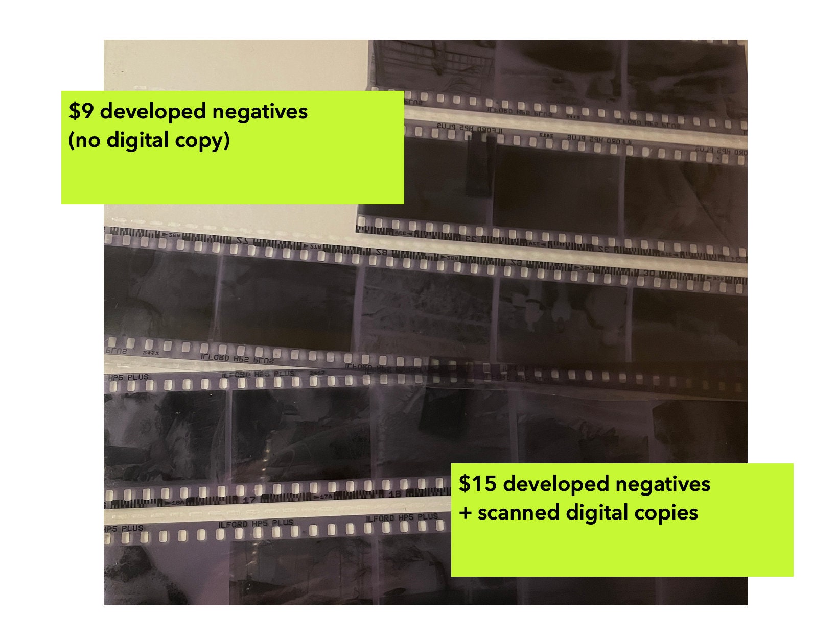 35mm Film Development Negatives and Digital Copies of Photos Etsy