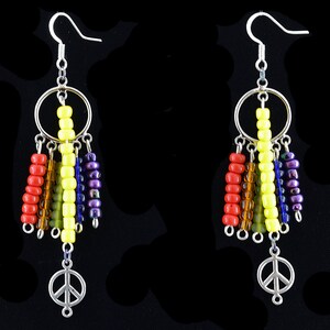 Pride Flag earrings