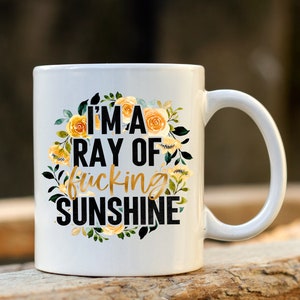 Ray of F***ing Sunshine, adult humor mug, funny mugs, adult gifts, Christmas gift for, sarcastic mug