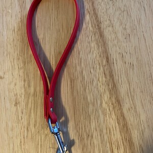 Puede incluir: Una correa de perro de cuero roja con un clip plateado.