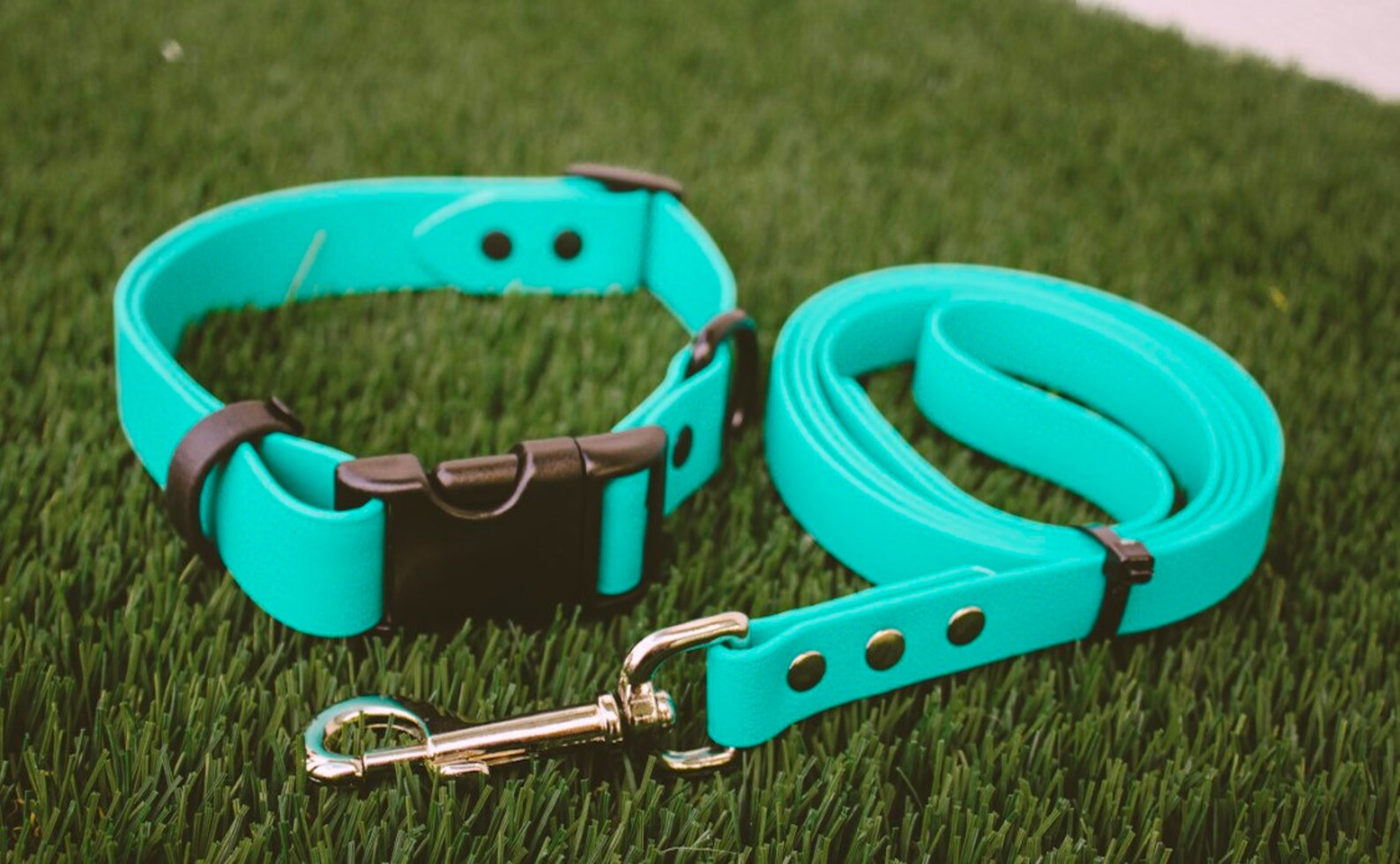 Biothane Quick Release Leash and Collar Set Etsy