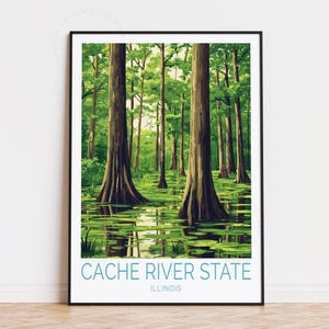 Stampa di viaggio Cache River State, Illinois, arte murale dell'Illinois, poster Cache River State, decorazioni per la casa, regali di compleanno, regali di nozze
