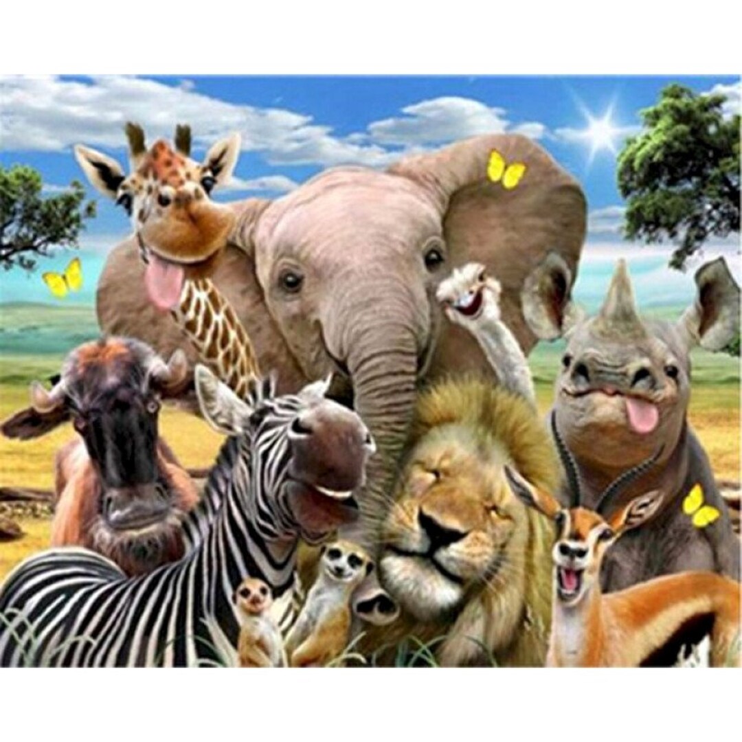 Funny African Animals DIY Painting by Numbers Kits for Adults - Etsy Canada Funny African Animals DIY Painting by Numbers Kits for Adults - Etsy Canada