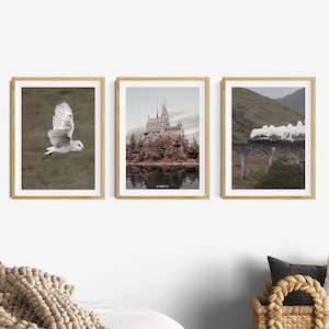 Conjunto de carteles de película, póster para salón, decoración de Hedwig, cuadros para dormitorio, habitación infantil, fotografía, idea de diseño de pared para habitación juvenil boho