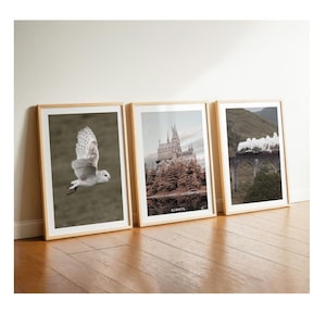 Set di poster di film, poster per il soggiorno, immagini decorative di Hedwig per la camera da letto, cameretta dei bambini, fotografia, idea di design per pareti di camerette per adolescenti Boho