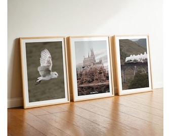 Movie poster set, living room posters, Hedwig decor pictures for bedroom, children's room, photography, teen room wall design idea Boho