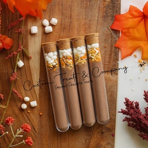 May include: Four glass tubes filled with hot chocolate mix and toppings, sealed with corks. The tubes are arranged on a wooden surface with fall foliage and the text "Custom Treats & Company". Marshmallows and sprinkles are scattered around.