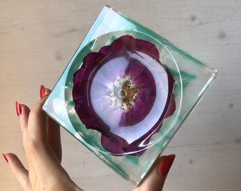 Kleine Schale, Schmuckschale, Untersetzer, Geschenk, Rose, Cosmea in Resin, echte Blumen in Harz