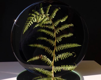 Decoration of real fern preserved in resin / unique gift / handmade / unique piece / dried flowers / unique piece