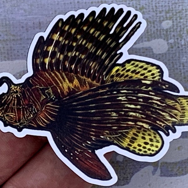 Red Lionfish (Pterois Volitans) Magnet