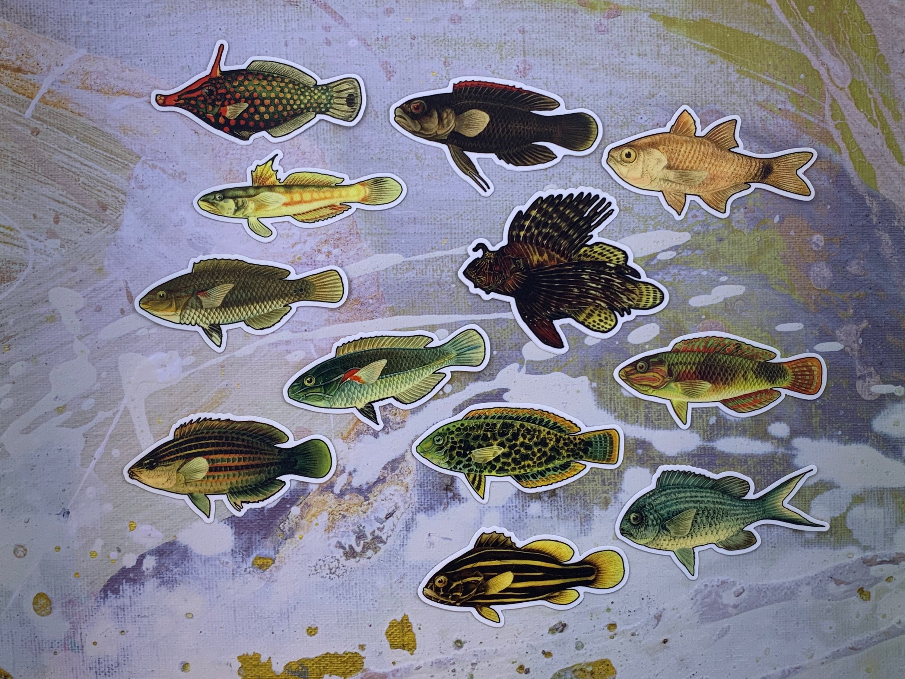 Colorful Fish Magnet Three Pack - Etsy