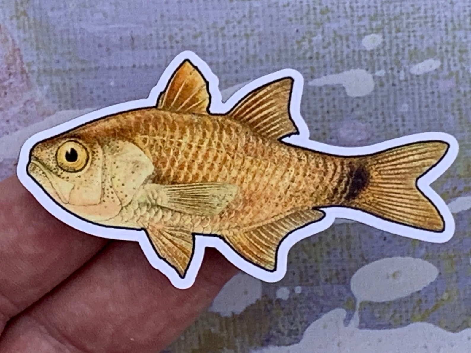 Photo of a shimmering cardinal magnet in someone's hand