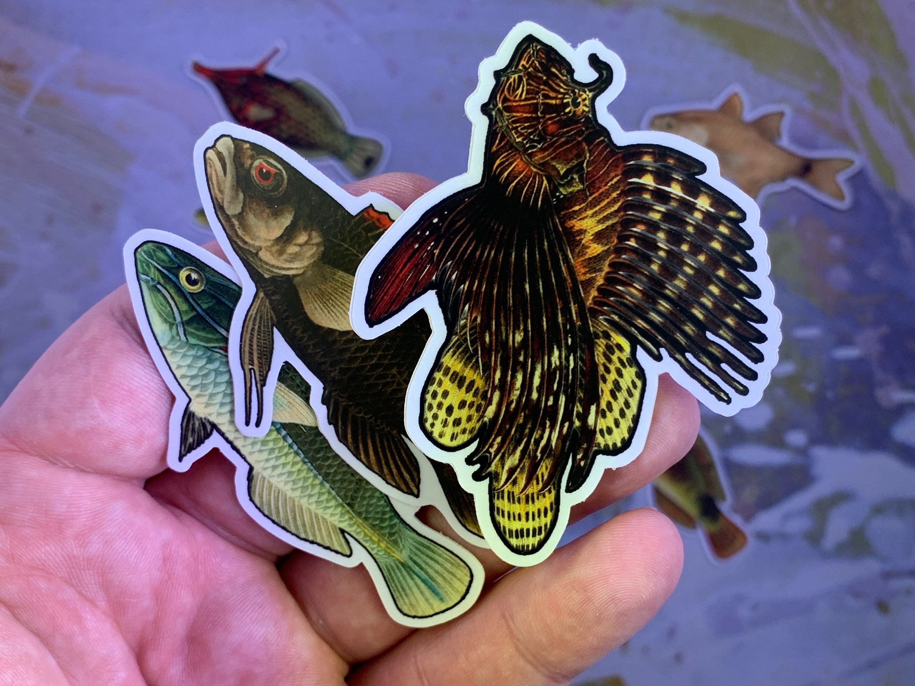 Colorful Fish Magnet Three Pack - Etsy