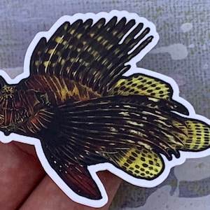 Op de afbeelding: Een sticker van een koraalduivel met zwarte, bruine en gele markeringen. De koraalduivel zwemt met uitgespreide vinnen naar rechts.
