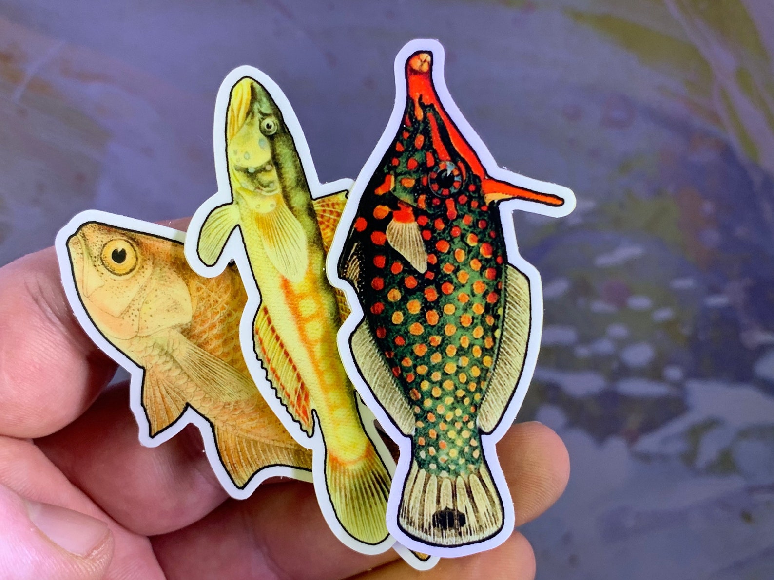 Photo of assorted fish magnets in someone's hand