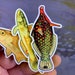 Mars reviewed Colorful fish magnet three pack