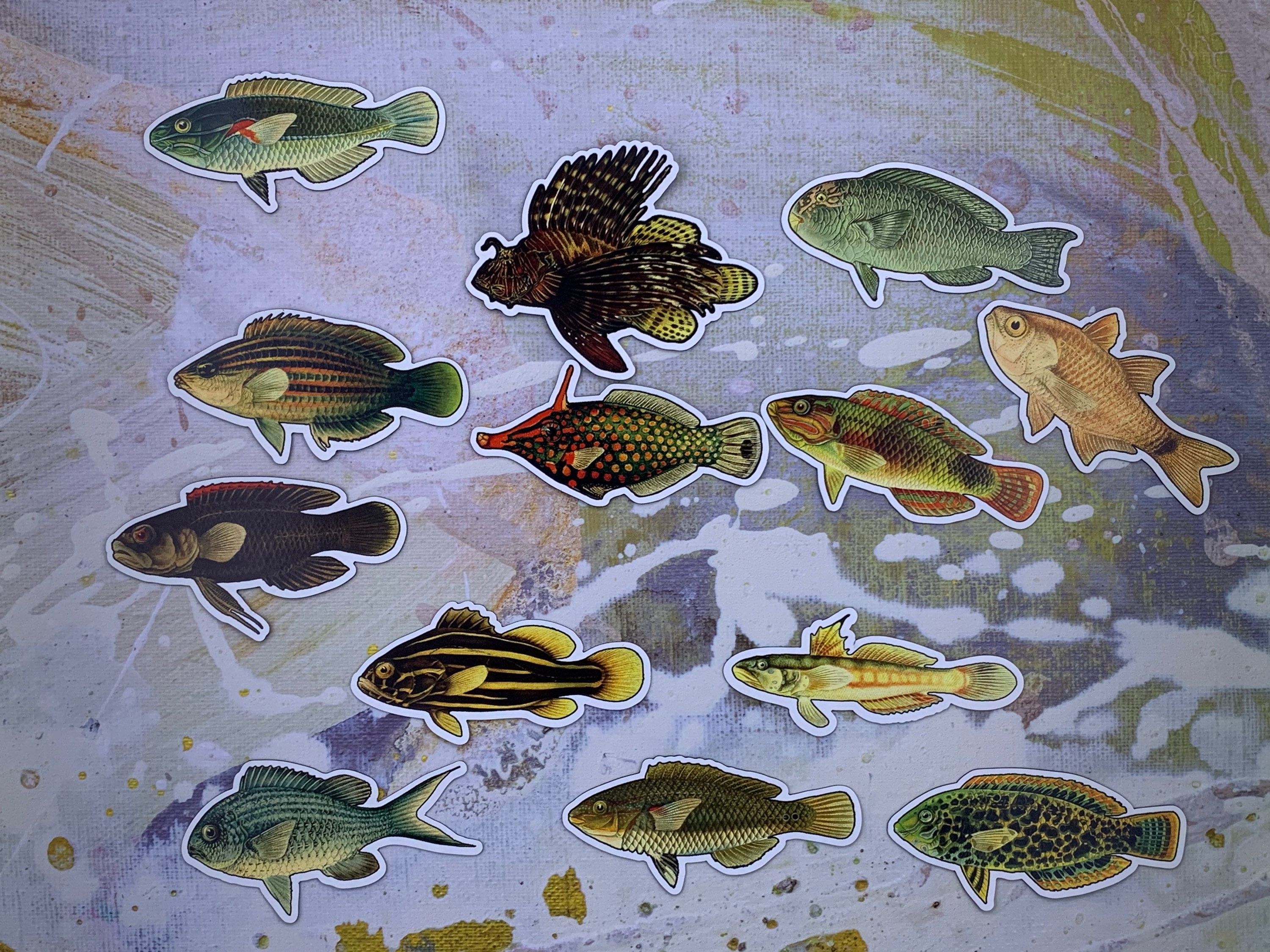 Colorful Fish Sticker Three Pack - Etsy